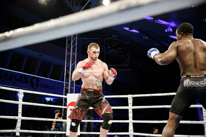 Lupte cu scântei și knockouturi senzaționale! Cele mai tari momente de la Gala KOK (FOTOREPORT)