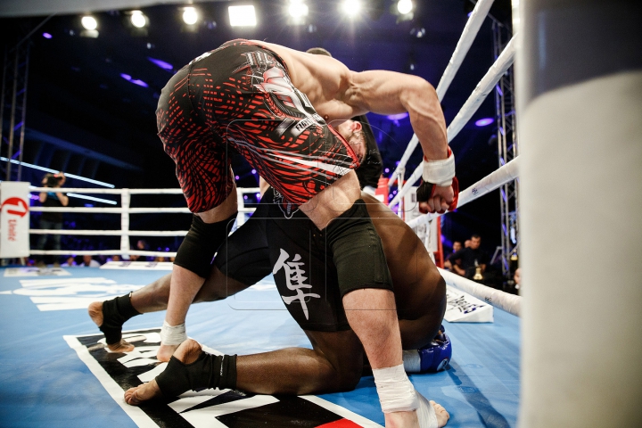 Lupte cu scântei și knockouturi senzaționale! Cele mai tari momente de la Gala KOK (FOTOREPORT)