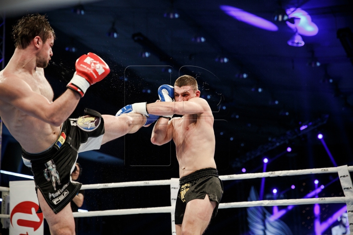 Lupte cu scântei și knockouturi senzaționale! Cele mai tari momente de la Gala KOK (FOTOREPORT)