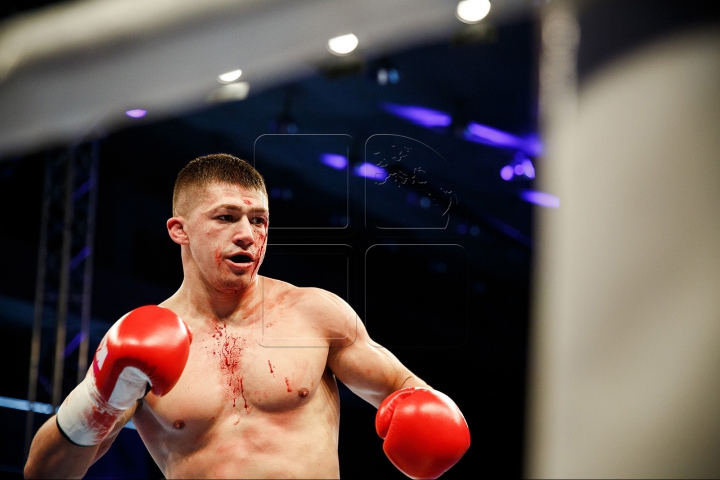 Lupte cu scântei și knockouturi senzaționale! Cele mai tari momente de la Gala KOK (FOTOREPORT)