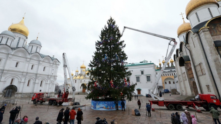 A fost văzut din Cosmos! Rușii au ales Pomul de Crăciun care va fi instalat la Kremlin