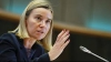 Șefa diplomației europene, Federica Mogherini, cere încetarea focului în sud-estul Turciei