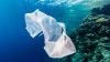 În curând, masa deşeurilor plastice din oceanul planetar riscă să o depăşească pe cea a peştilor