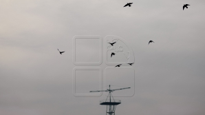 METEO 29 ianuarie 2016. Surprizele vremii la sfârşit de săptămână