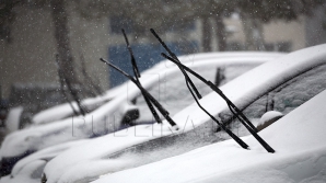 Momentul în care răbdarea bărbatului ajunge la limită. A urcat Alba ca Zăpada în maşină (VIDEO)