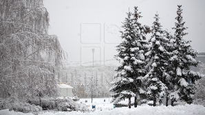 COD PORTOCALIU DE NINSORI ÎN ȚARĂ! Recomandările specialiștilor în situații de urgență