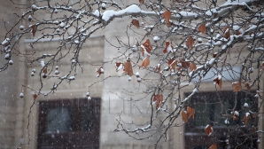 Vreme INSTABILĂ pentru următoarele zile! Ploi, ninsori şi temperaturi oscilatorii