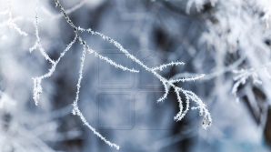 Splendoarea iernii la Orheiul Vechi. Imagini de la înălţimea zborului de pasăre (FOTO)