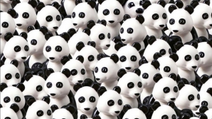 Găseşte intrusul! Cât de repede depistezi câinele ascuns printre urşii panda