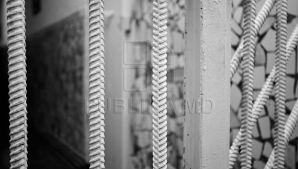 ACCIDENTUL TERIBIL de la Ciocana: Şoferul care a cauzat moartea unei persoane a fost arestat