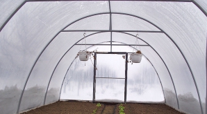 Agricultorii pregătesc deja culturile de legume pentru vară. În acest an castraveţii vor fi mai scumpi