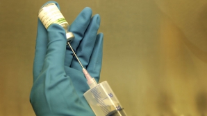 Gripa porcină a făcut ZECI DE VICTIME în Armenia și Ucraina. REACȚIILE autorităților