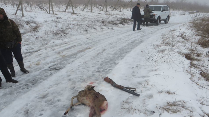 Este un "obicei criminal". IMAGINI ŞOCANTE surprinse de Inspecţia Ecologică la Cimişlia