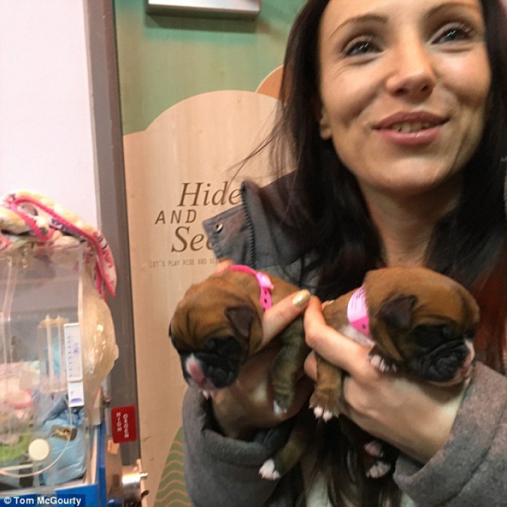 "Era special". Un cuplu britanic a cheltuit 67.000 de lire sterline pentru a-şi clona câinele (FOTO)