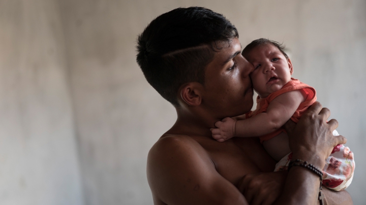 Brazilia a declanşat LUPTA ÎMPOTRIVA VIRUSULUI ZIKA. Preşedintele cheamă la mobilizare