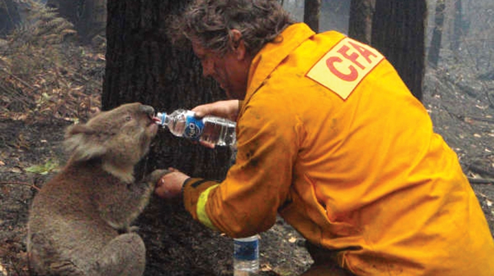 FOC ÎN AUSTRALIA. Doi oameni au murit în flăcările care fac ravagii pe continent