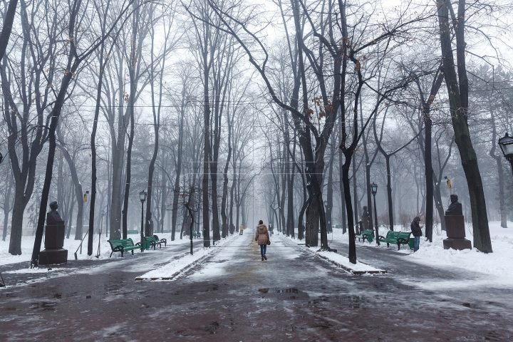 ATENȚIE, ŞOFERI! Meteorologii anunţă prelungirea Codului Galben de ceață. Cum trebuie să şofezi