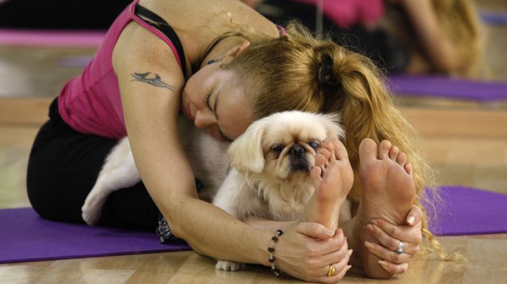 Nou record stabilit în Hong Kong! Zeci de oamenii alături de câinii lor au participat la o şedinţă de yoga