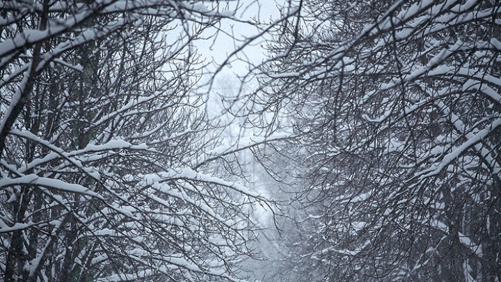 VREMEA SE ÎNRĂUTĂŢEŞTE în sudul şi sud-estul ţării. Anunţul meteorologilor