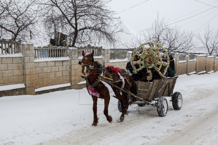 Tradiţiile strămoşeşti renasc prin colindele şi clinchetele de clopoţei auzite la Hârtopul Mare (FOTO)