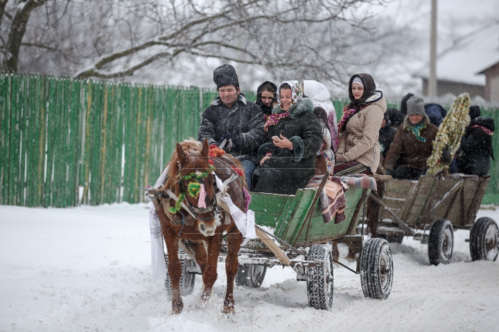 Tradiţiile strămoşeşti renasc prin colindele şi clinchetele de clopoţei auzite la Hârtopul Mare (FOTO)