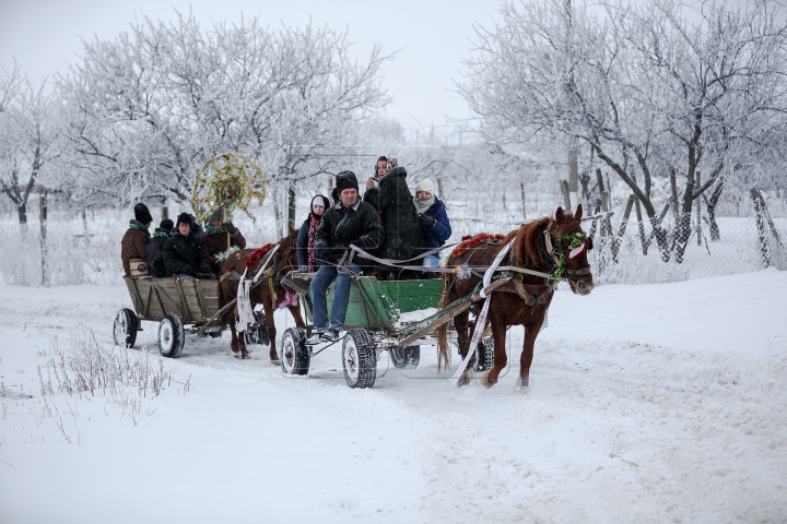 Tradiţiile strămoşeşti renasc prin colindele şi clinchetele de clopoţei auzite la Hârtopul Mare (FOTO)