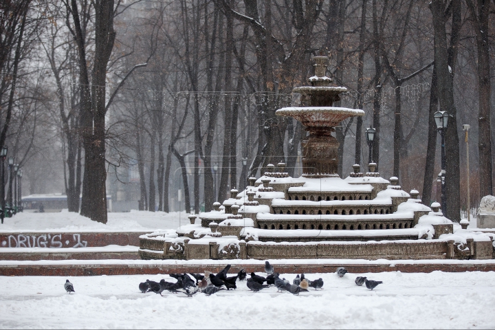 Chişinăul sub zăpadă. Imagini frumoase surprinse de fotograful Publika (FOTOREPORT)   