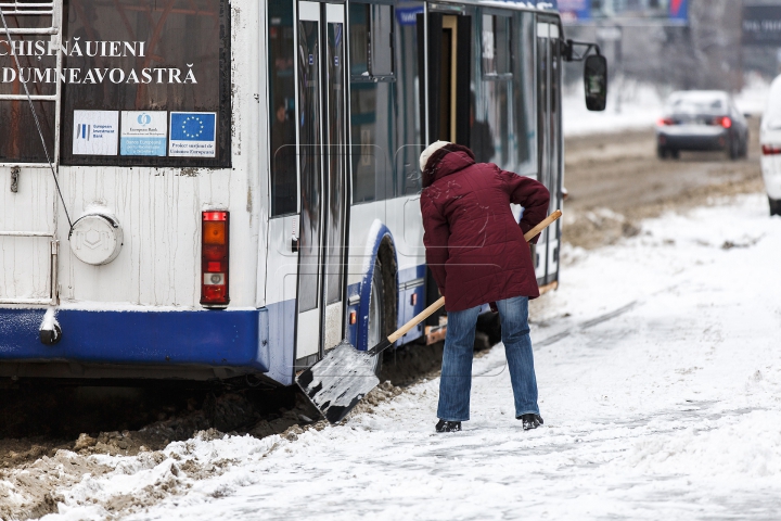 Frumusețea iernii. Imagini inedite cu prima zăpadă din acest an (FOTOREPORT)