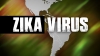 Virusul Zika. UE creează un grup de lucru în domeniul medicamentelor împotriva agentului patologic