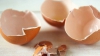 BINE DE ŞTIUT! Cojile de ou, eficiente pentru calmarea arsurilor la stomac