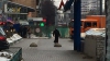 (VIDEO +18) Scenă terifiantă la Moscova. EXPLICAȚIA HALUCINANTĂ a femeii surprinse cu un cap de copil în mână
