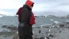 Pinguinii din Antarctida l-au primit în ospeţie pe Patriarhul Bisericii Ortodoxe Ruse (FOTO/VIDEO)