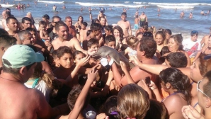 CRUZIME FĂRĂ MARGINI! Un pui de delfin, mort din cauza oamenilor dornici să facă poze cu el (VIDEO)