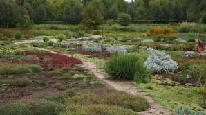 SCANDAL la Grădina Botanică! De ce este nemulţumită administraţia parcului