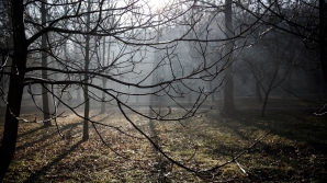 METEO 29 februarie 2016. Câte grade în termometre au prezis sinoptiocienii