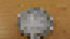 POŢI DEVENI BOGAT! Ai păstrat o astfel de monedă în casă? 