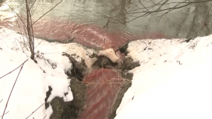 CATASTROFA ECOLOGICĂ DE LA FLORENI: Primarul spune că se face show 