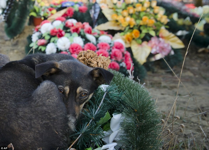 FOTOREPORT: De ce jurnaliştii britanici le recomandă cetăţenilor să viziteze cimitirul Sfântul Lazăr