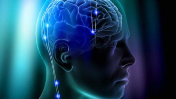 "E o bombă reală!" Creierul este capabil să stocheze în memorie întreg Internetul