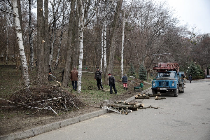 FORFOTĂ MARE la Valea Morilor! Ce se întâmplă în parcul din Capitală în ultimele zile de iarnă (FOTOREPORT)