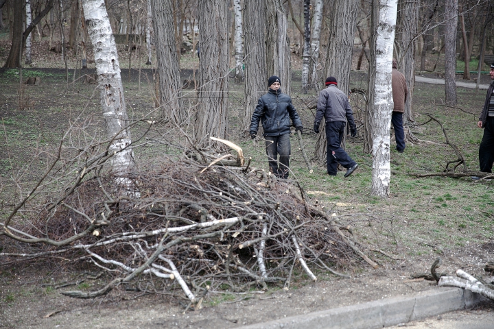 FORFOTĂ MARE la Valea Morilor! Ce se întâmplă în parcul din Capitală în ultimele zile de iarnă (FOTOREPORT)