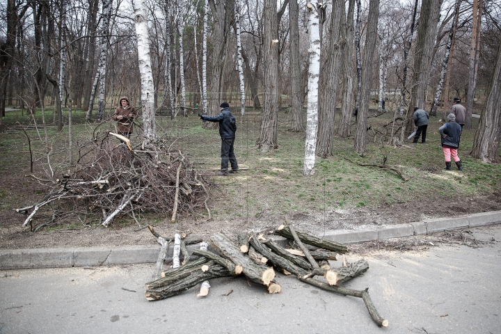 FORFOTĂ MARE la Valea Morilor! Ce se întâmplă în parcul din Capitală în ultimele zile de iarnă (FOTOREPORT)