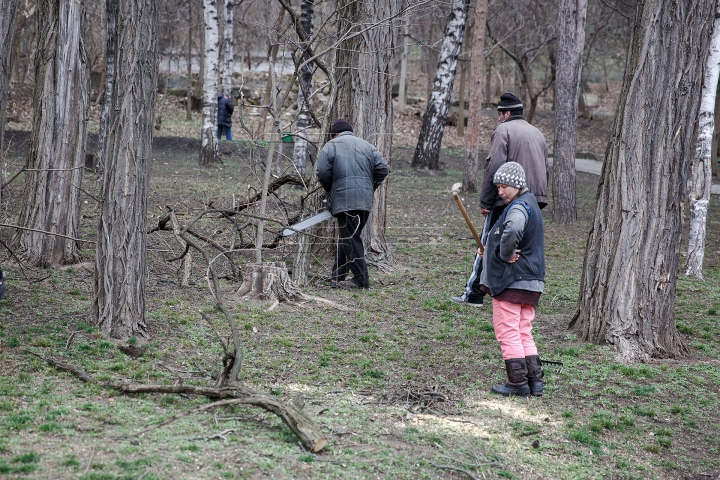 FORFOTĂ MARE la Valea Morilor! Ce se întâmplă în parcul din Capitală în ultimele zile de iarnă (FOTOREPORT)