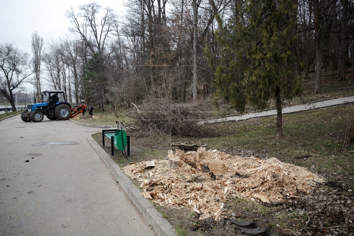 FORFOTĂ MARE la Valea Morilor! Ce se întâmplă în parcul din Capitală în ultimele zile de iarnă (FOTOREPORT)