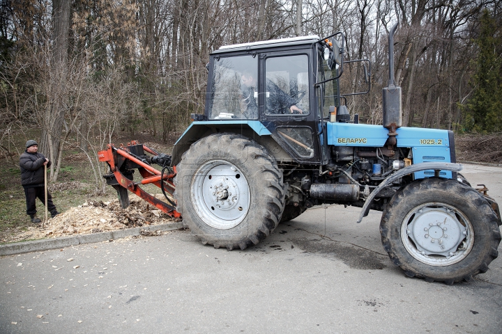 FORFOTĂ MARE la Valea Morilor! Ce se întâmplă în parcul din Capitală în ultimele zile de iarnă (FOTOREPORT)