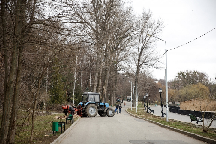 FORFOTĂ MARE la Valea Morilor! Ce se întâmplă în parcul din Capitală în ultimele zile de iarnă (FOTOREPORT)