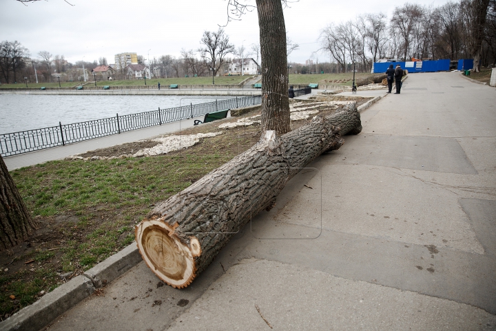 FORFOTĂ MARE la Valea Morilor! Ce se întâmplă în parcul din Capitală în ultimele zile de iarnă (FOTOREPORT)