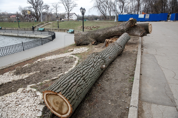 FORFOTĂ MARE la Valea Morilor! Ce se întâmplă în parcul din Capitală în ultimele zile de iarnă (FOTOREPORT)