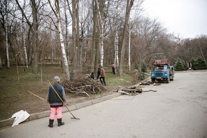 FORFOTĂ MARE la Valea Morilor! Ce se întâmplă în parcul din Capitală în ultimele zile de iarnă (FOTOREPORT)