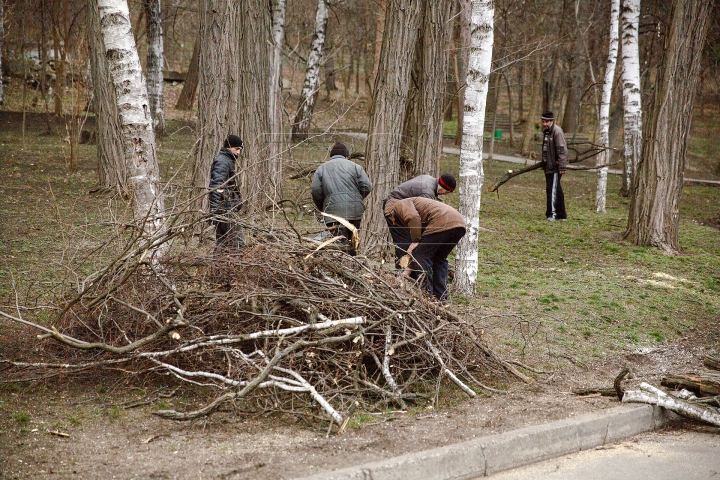 FORFOTĂ MARE la Valea Morilor! Ce se întâmplă în parcul din Capitală în ultimele zile de iarnă (FOTOREPORT)